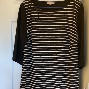 Sandra Darren Knee Length Black and White Dress